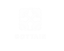 GDTTAIN
